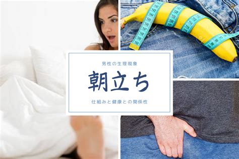 【驚愕】なぜ朝立ちしない？仕組みと知らないと危険な理由8個